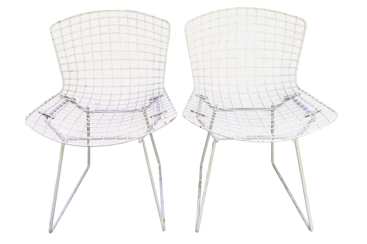 Paire de chaises Bertoïa