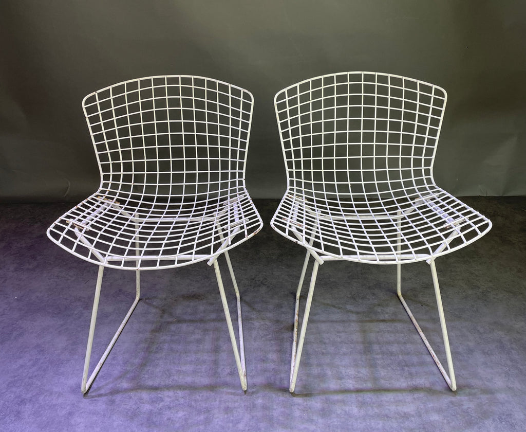 Paire de chaises Bertoïa
