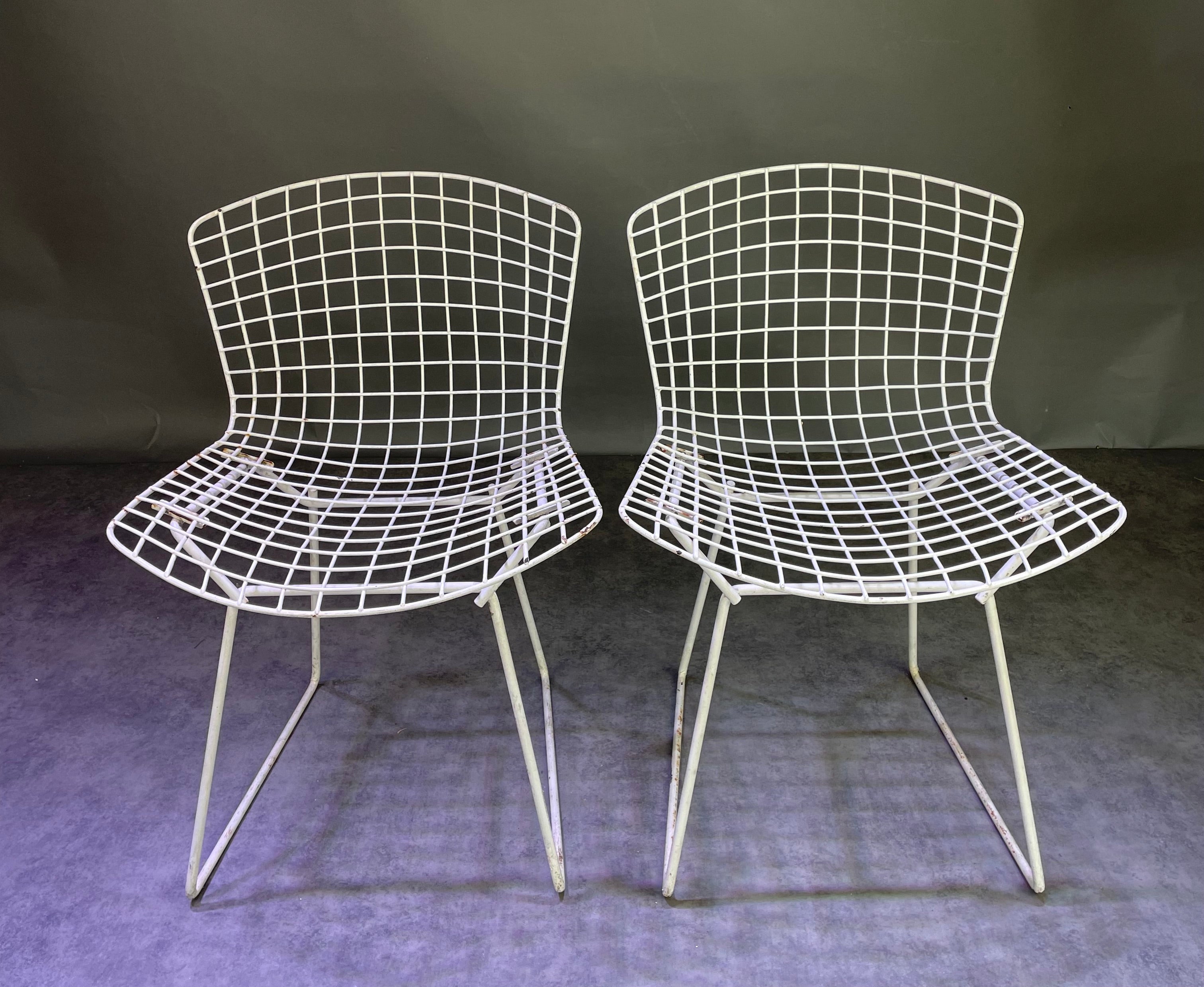 Paire de chaises Bertoïa