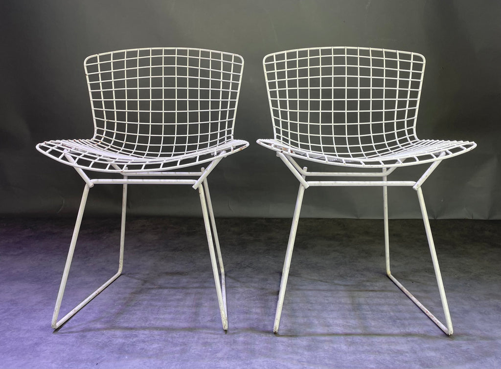 Paire de chaises Bertoïa