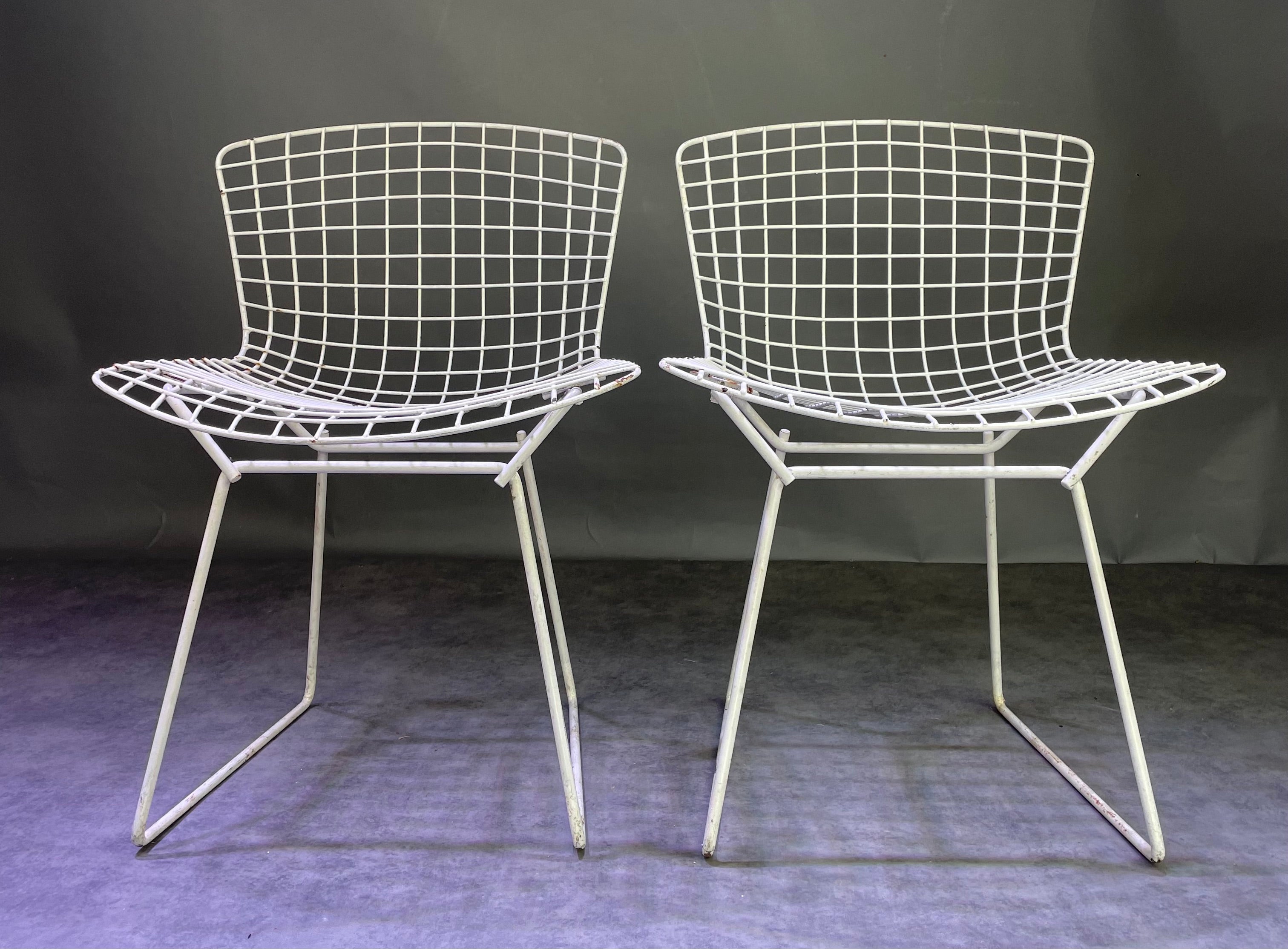Paire de chaises Bertoïa