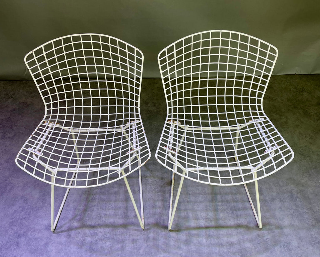 Paire de chaises Bertoïa