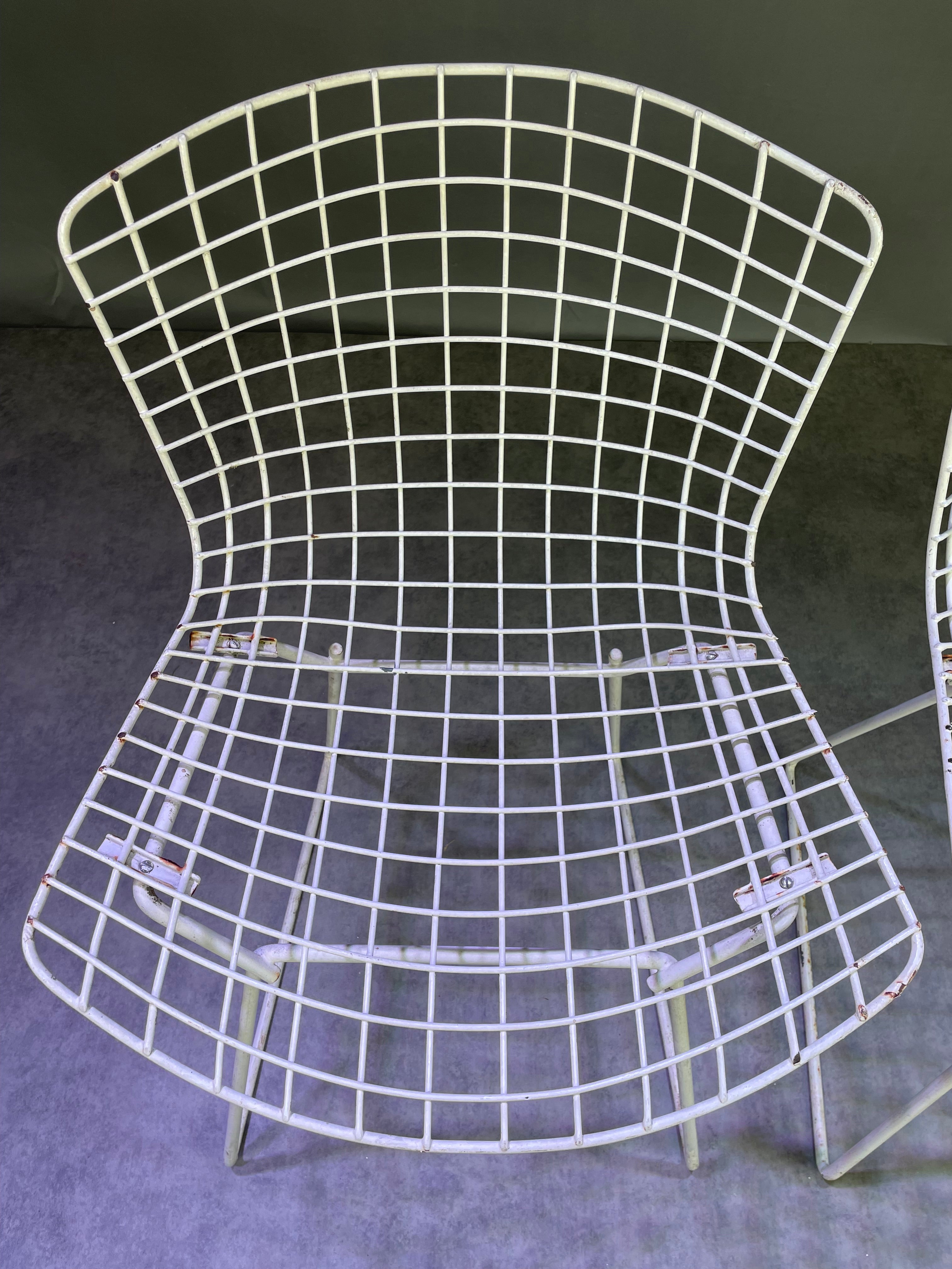 Paire de chaises Bertoïa