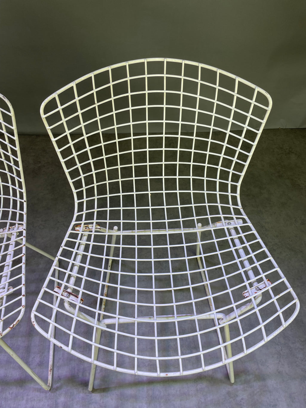 Paire de chaises Bertoïa