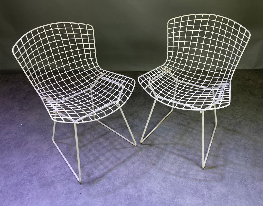 Paire de chaises Bertoïa