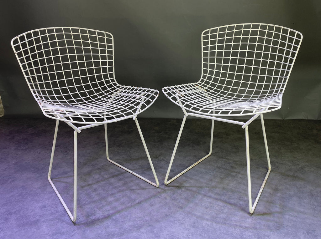 Paire de chaises Bertoïa