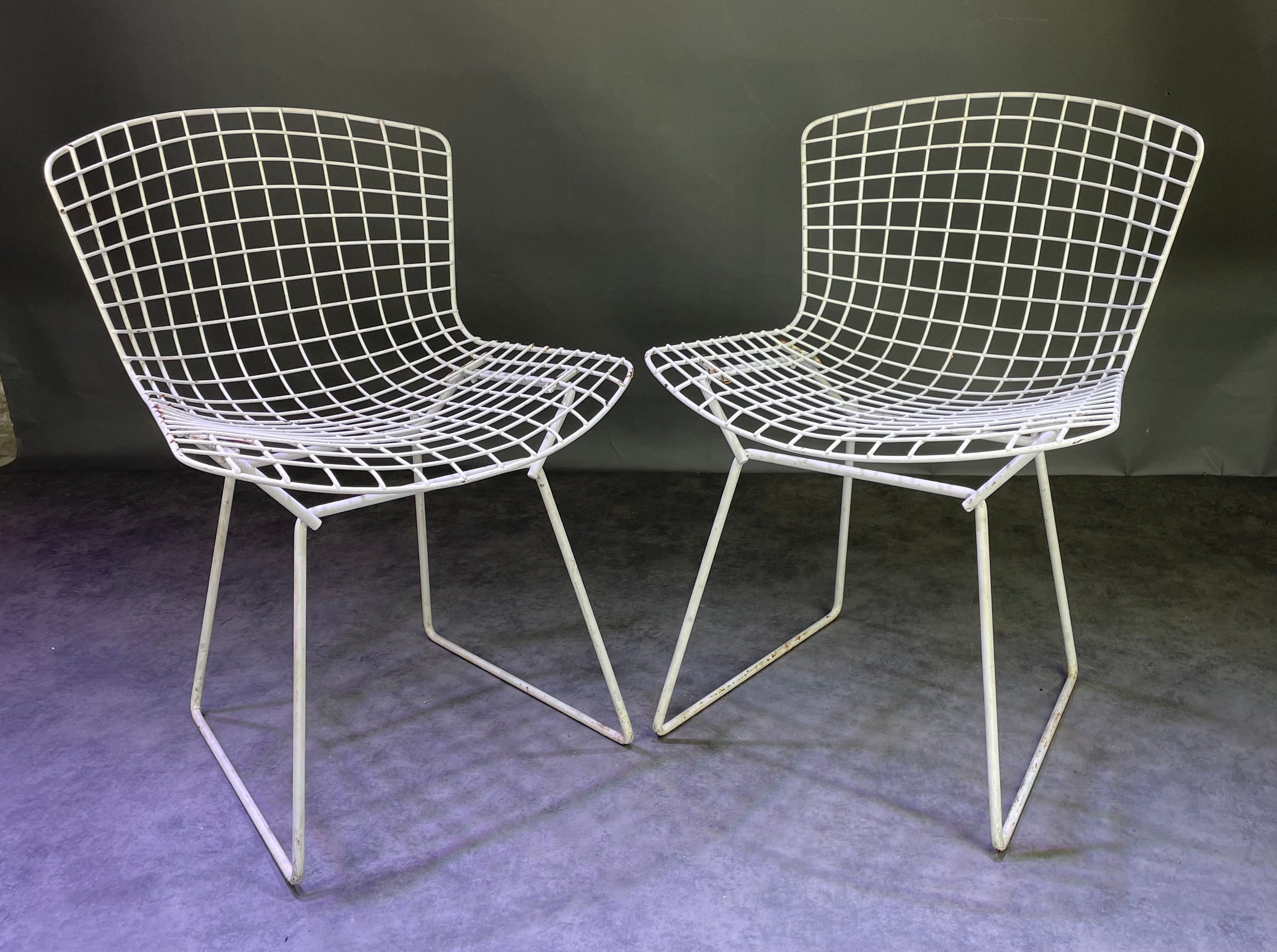Paire de chaises Bertoïa
