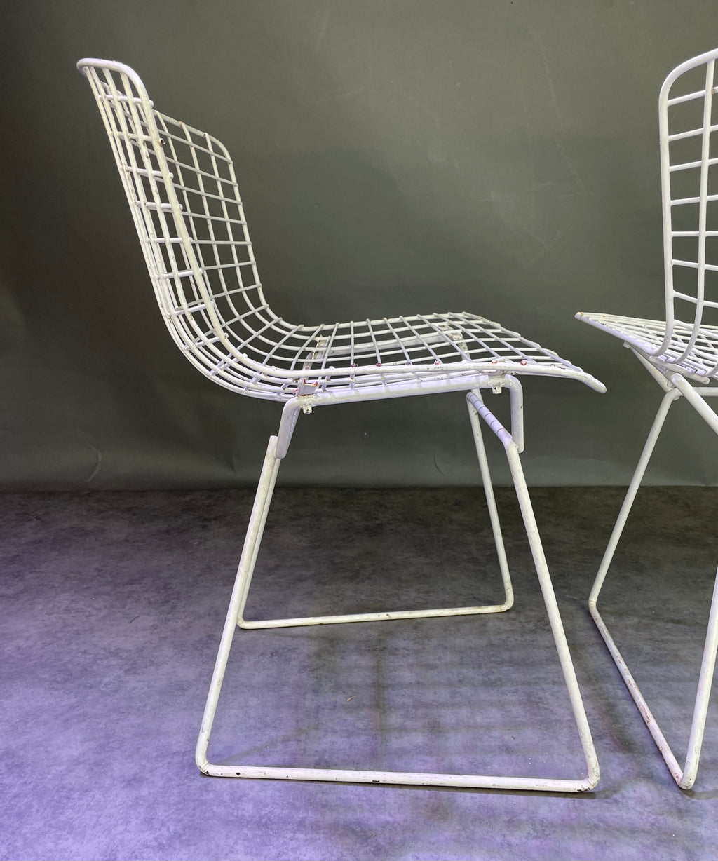 Paire de chaises Bertoïa