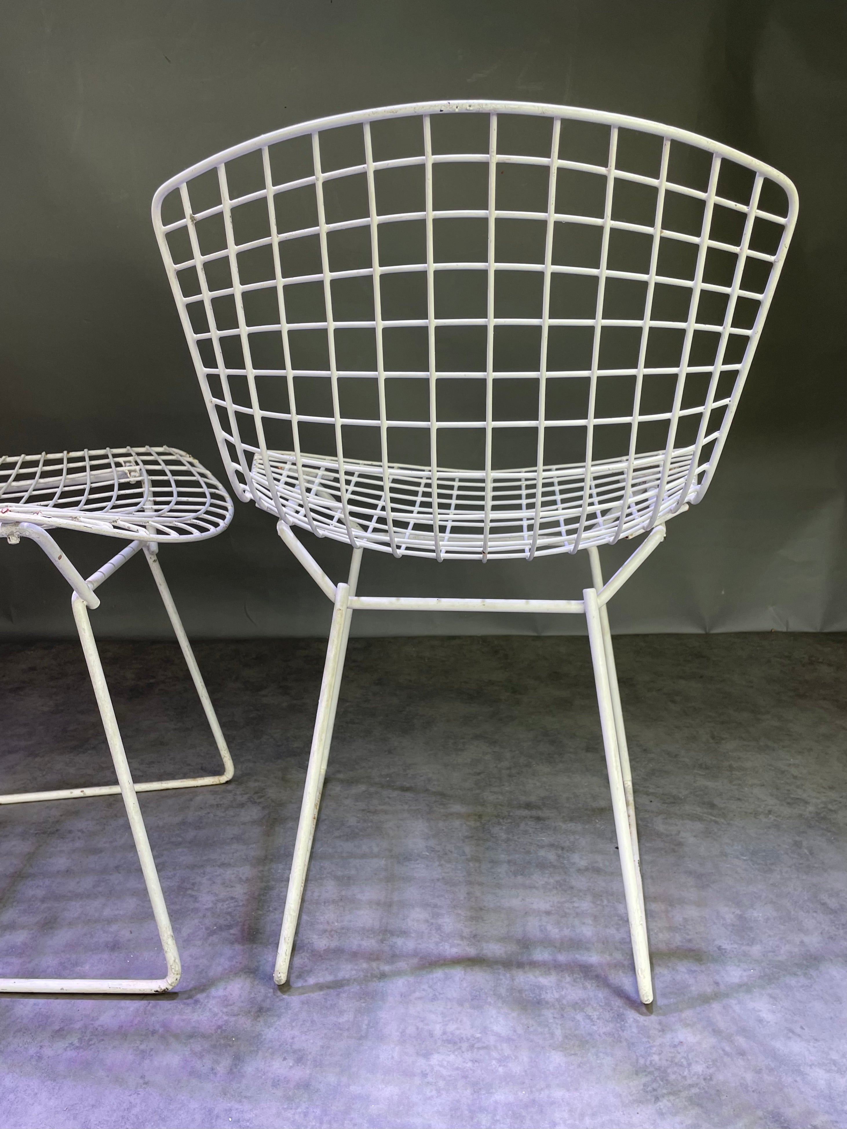 Paire de chaises Bertoïa